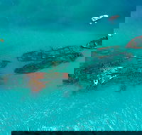 Private Tangalooma Wrecks Tour - Melbourne 4u