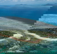 4-Day Cairns with Great Barrier Reef and Daintree Rainforest - Melbourne 4u