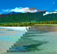 Private Daintree National Park Day Tour from Cairns Including Cape Tribulation and Mossman Gorge - Melbourne 4u