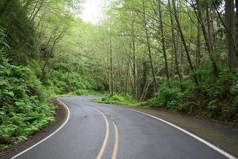 Cruise Ship Shore Excursion - Private Great Ocean Road Full Day Tour (12 Hour) - Accommodation Melbourne 3