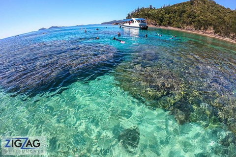 Whitehaven Beach Day Tour With Snorkel In Whitsundays Island - Accommodation Melbourne 5