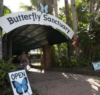 Kuranda Day Trip from Port Douglas upgrade to Skyrail  Scenic train available - Accommodation Melbourne