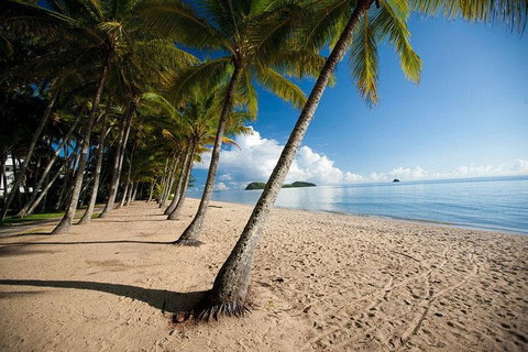 Kuranda Day Trip From Port Douglas Upgrade To Skyrail & Scenic Train Available - Accommodation Melbourne 1
