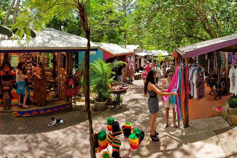 Kuranda Day Trip From Port Douglas Upgrade To Skyrail & Scenic Train Available - Accommodation Melbourne 2