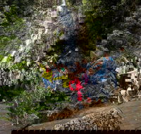 5-Day Lap of Tasmania Tour from Hobart flexible ticket - Accommodation Melbourne