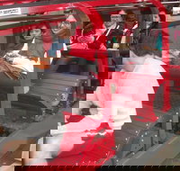 Full-Day Private Blue Mountains Tour with River Cruise - Accommodation Melbourne