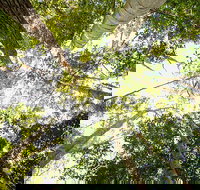 Fraser Island 4WD Tour from Noosa - Accommodation Melbourne