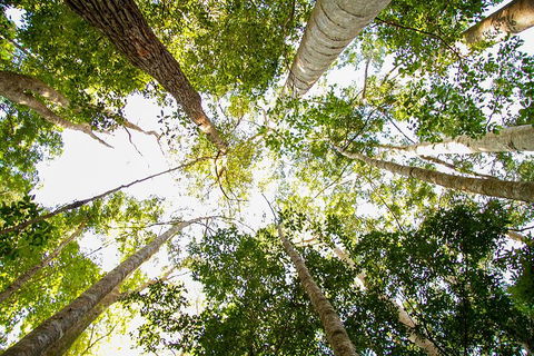 Fraser Island 4WD Tour From Noosa - Accommodation Melbourne 0