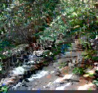 Fraser Island 4WD Tour from Rainbow Beach - Accommodation Melbourne