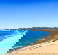 Kayak with Dolphins and 4WD Great Beach Drive Day Trip from Noosa - Accommodation Melbourne