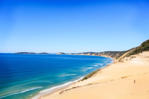 Kayak With Dolphins And 4WD Great Beach Drive Day Trip From Noosa - Accommodation Melbourne 0