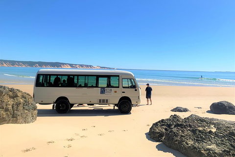 Kayak With Dolphins And 4WD Great Beach Drive Day Trip From Noosa - Accommodation Melbourne 4