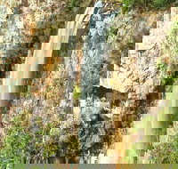 Private Tour - Rainforest  Waterfalls Extravaganza - Accommodation Melbourne