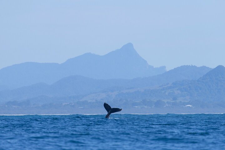 Byron Bay NSW Melbourne 4u