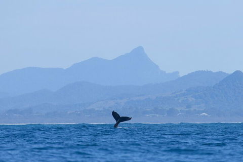 The Byron Bay Sea Kayak Tour - Melbourne 4u 0