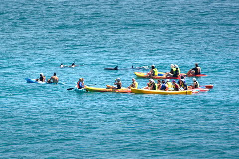The Byron Bay Sea Kayak Tour - Melbourne 4u 1