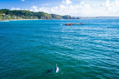 The Byron Bay Sea Kayak Tour - Melbourne 4u 2