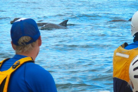 The Byron Bay Sea Kayak Tour - Melbourne 4u 4