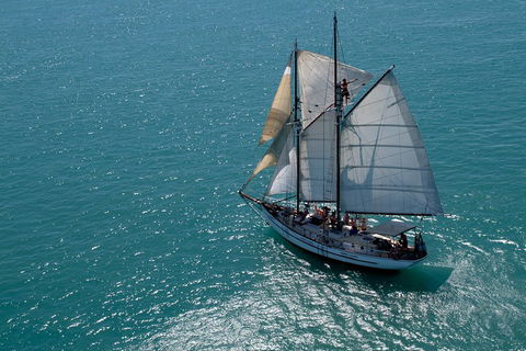 Whitehaven Beach Sailing And Snorkeling Cruise - Accommodation Melbourne 1