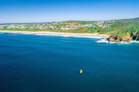 Noosa Oceanrider Scenic Dolphin Safari - Accommodation Melbourne 4