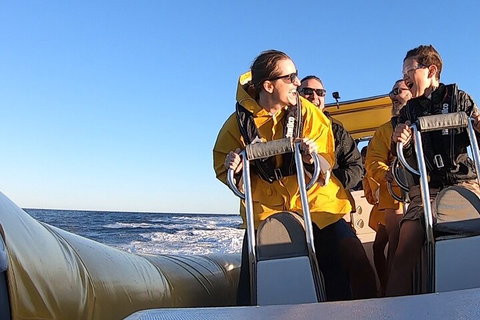 Noosa Oceanrider - Adventure Tour - Accommodation Melbourne 0