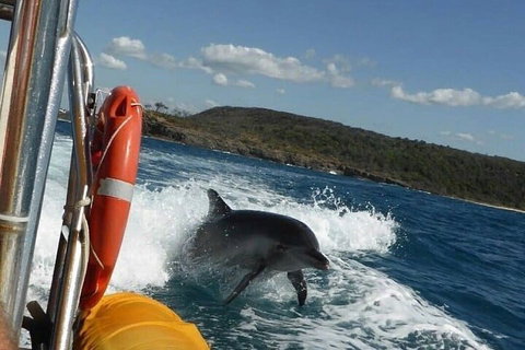 Noosa Oceanrider - Adventure Tour - Accommodation Melbourne 1