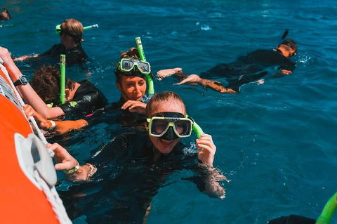 Whitehaven Beach And Hill Inlet Lookout Full-Day Snorkeling Cruise By High-Speed Catamaran - Accommodation Melbourne 3