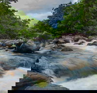 Cape Tribulation Day Tour - Melbourne 4u