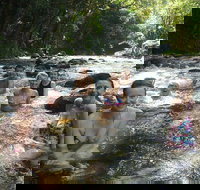 Daintree Rainforest Cape Tribulation Mossman Gorge Small-Group Day Tour - Accommodation Melbourne