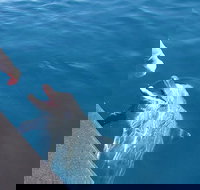 Noosa Thriller - 500hp Ocean Adventure Ride - Accommodation Melbourne