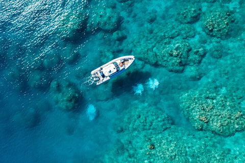 Premium Private Charter - Accommodation Melbourne 0