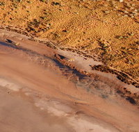 Scenic Flight Lizard Safari - Accommodation Melbourne