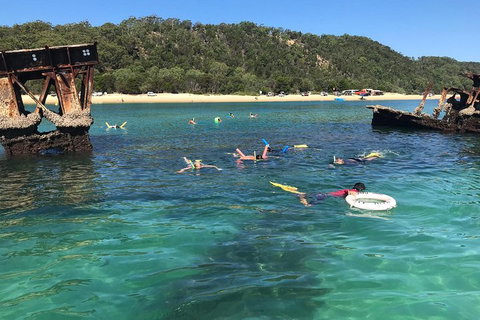All Inclusive Dolphin And Tangalooma Wrecks Cruise - Accommodation Melbourne 0
