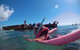 All Inclusive Dolphin And Tangalooma Wrecks Cruise - thumb 2