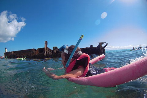 All Inclusive Dolphin And Tangalooma Wrecks Cruise - Accommodation Melbourne 2