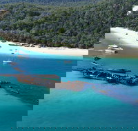 All Inclusive Tangalooma Wrecks Cruise Tour From Gold Coast - Accommodation Melbourne