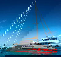 Passions of Paradise Great Barrier Reef Snorkel and Dive Cruise from Cairns by Luxury Catamaran - Melbourne 4u