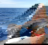 1/2 Day 5 Hour Offshore Fishing Charter - Accommodation Melbourne