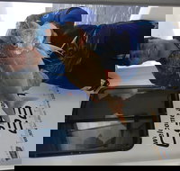 3/4 Day 7 Hour Offshore Fishing Charter - Accommodation Melbourne