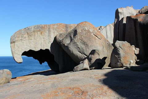 Kangaroo Island Personal Group Tours - Accommodation Melbourne 2