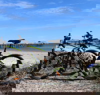 Adelaide City to Sea Bike Tour - Accommodation Melbourne