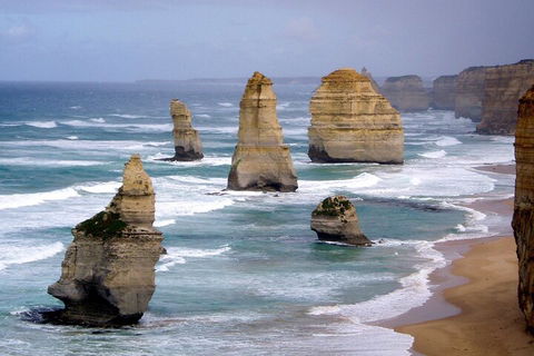 LGBT+ Friendly 2 Day Private Tour Great Ocean Road + Phillip Island - Accommodation Melbourne 0