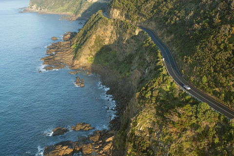 LGBT+ Friendly 2 Day Private Tour Great Ocean Road + Phillip Island - Accommodation Melbourne 4