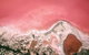 Kalbarri, Pink Lake And Abrolhos Islands Nature Tour - thumb 2