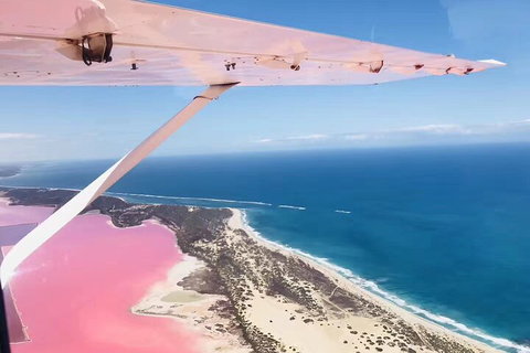 Kalbarri, Pink Lake And Abrolhos Islands Nature Tour - Accommodation Melbourne 4