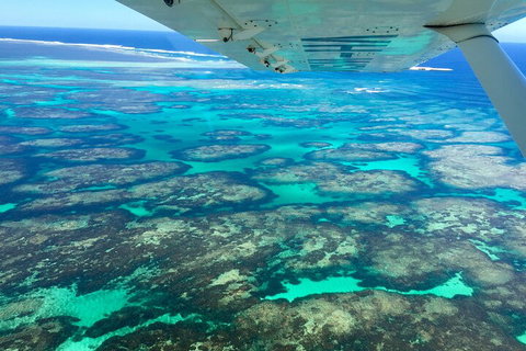 Kalbarri, Pink Lake And Abrolhos Islands Nature Tour - Accommodation Melbourne 5