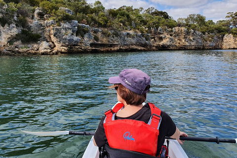 Cliffs And Caves Kayak Tour In Swan River - Accommodation Melbourne 0