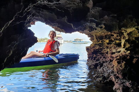 Cliffs And Caves Kayak Tour In Swan River - Accommodation Melbourne 1
