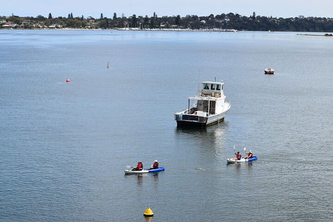 Cliffs And Caves Kayak Tour In Swan River - Accommodation Melbourne 2