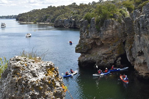 Cliffs And Caves Kayak Tour In Swan River - Accommodation Melbourne 5